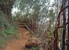 Fonds d'cran Voyages : Afrique Ile de la Reunion