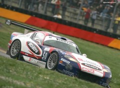 Fonds d'cran Voitures Viper GTS-R Championnat GT 2005 by bewall