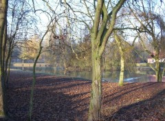 Fonds d'cran Nature Promenade au parc