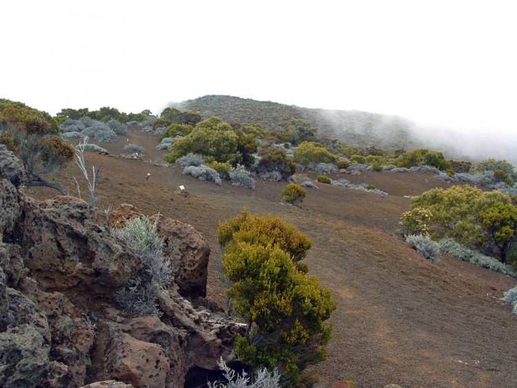 Fonds d'cran Voyages : Afrique La Runion Ile de la Reunion