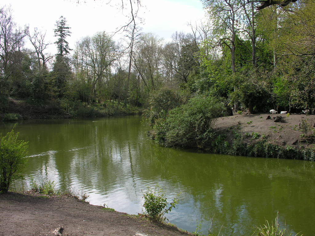 Fonds d'cran Nature Parcs - Jardins 