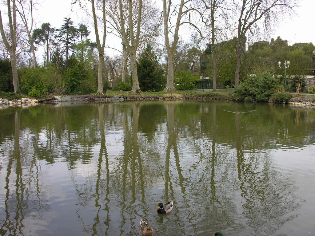 Fonds d'cran Nature Parcs - Jardins 