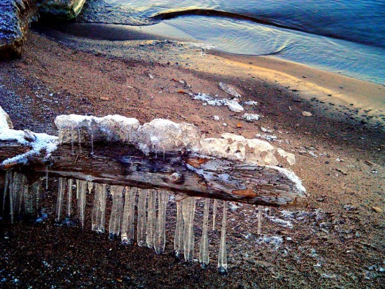 Fonds d'cran Nature Saisons - Hiver planche gelee sur le bord du lac st-Jean