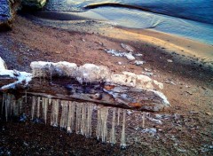 Fonds d'cran Nature planche gelee sur le bord du lac st-Jean