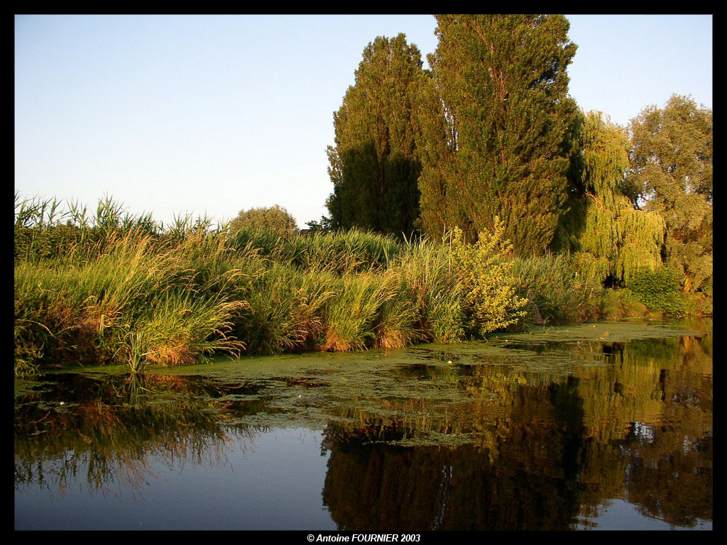 Wallpapers Nature Rivers - Torrents 