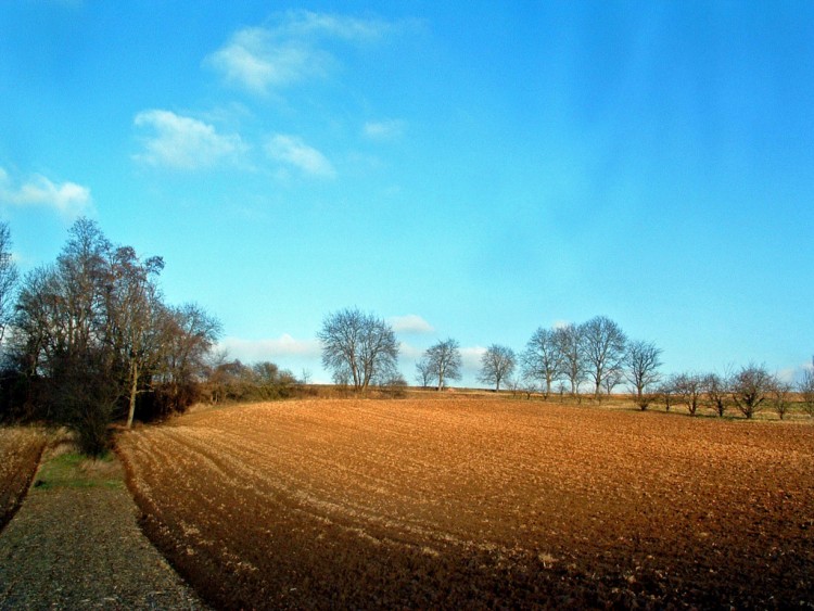 Wallpapers Trips : Europ France > Alsace Timide, le soleil....