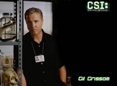 Wallpapers TV Soaps csi1