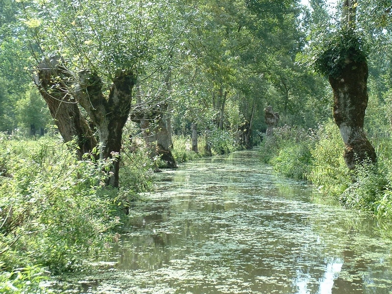 Fonds d'cran Nature Fleuves - Rivires - Torrents Venise Verte