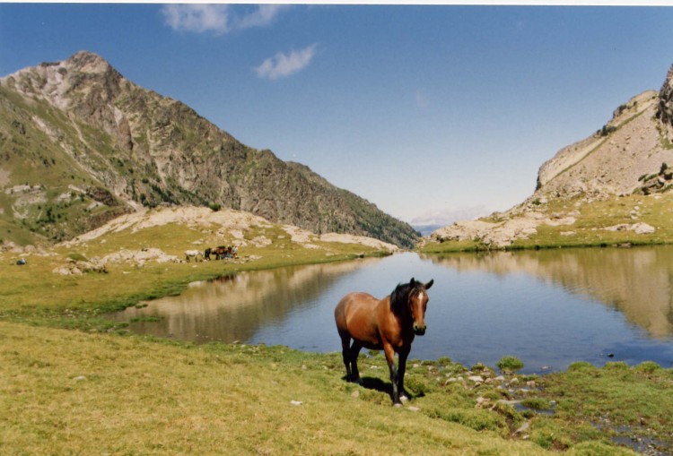 Fonds d'cran Voyages : Europe France > Midi-Pyrnes Perspectives dans les Pyrnes