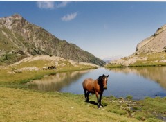 Fonds d'cran Voyages : Europe Perspectives dans les Pyrnes