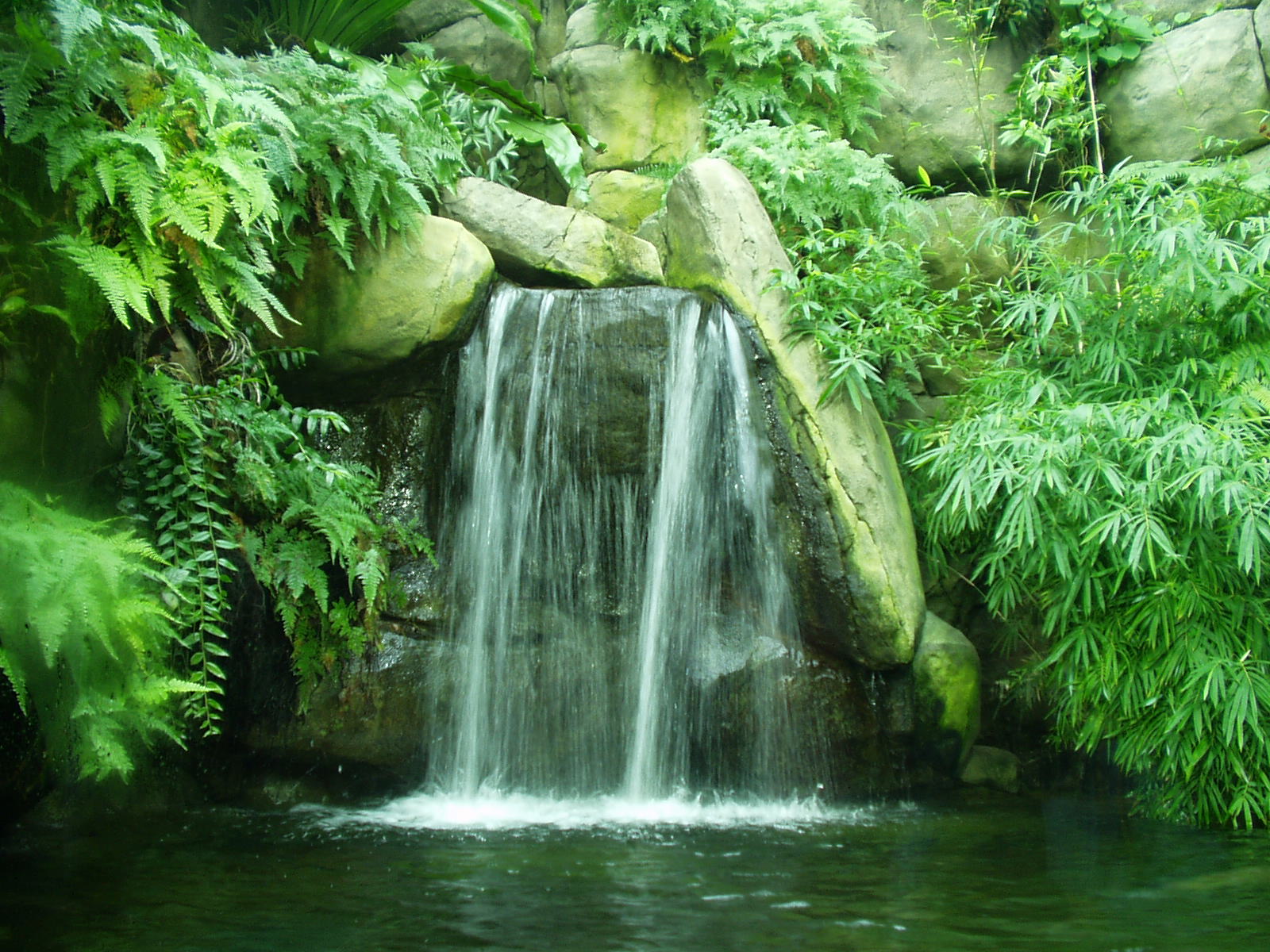 Fonds d'cran Nature Cascades - Chutes Cascade verte