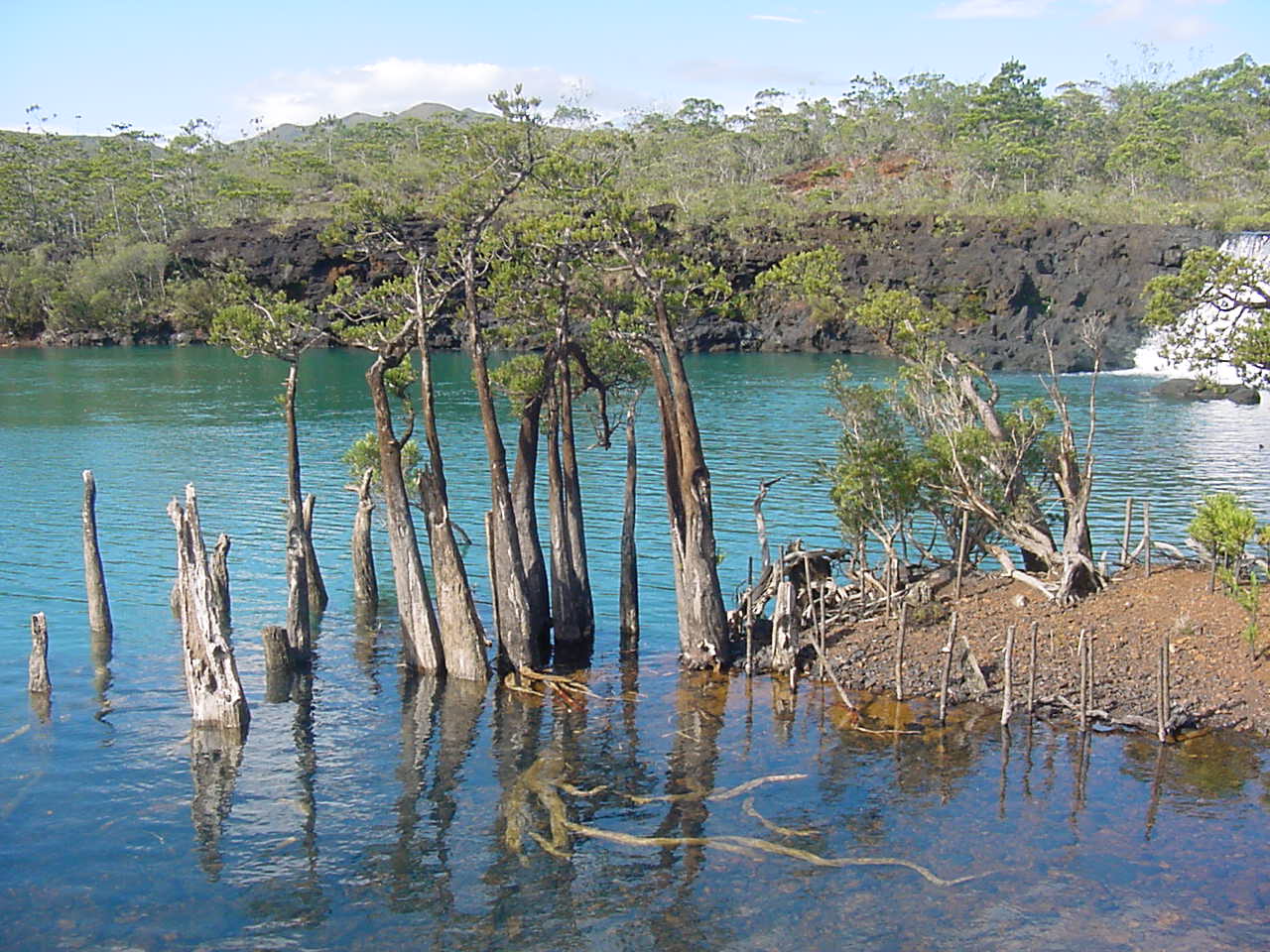 Wallpapers Trips : Oceania New Caledonia Parc de la Madeleine