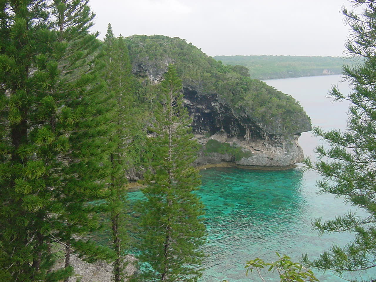 Fonds d'cran Voyages : Ocanie Nouvelle Caldonie Lifou, falaise de Doking