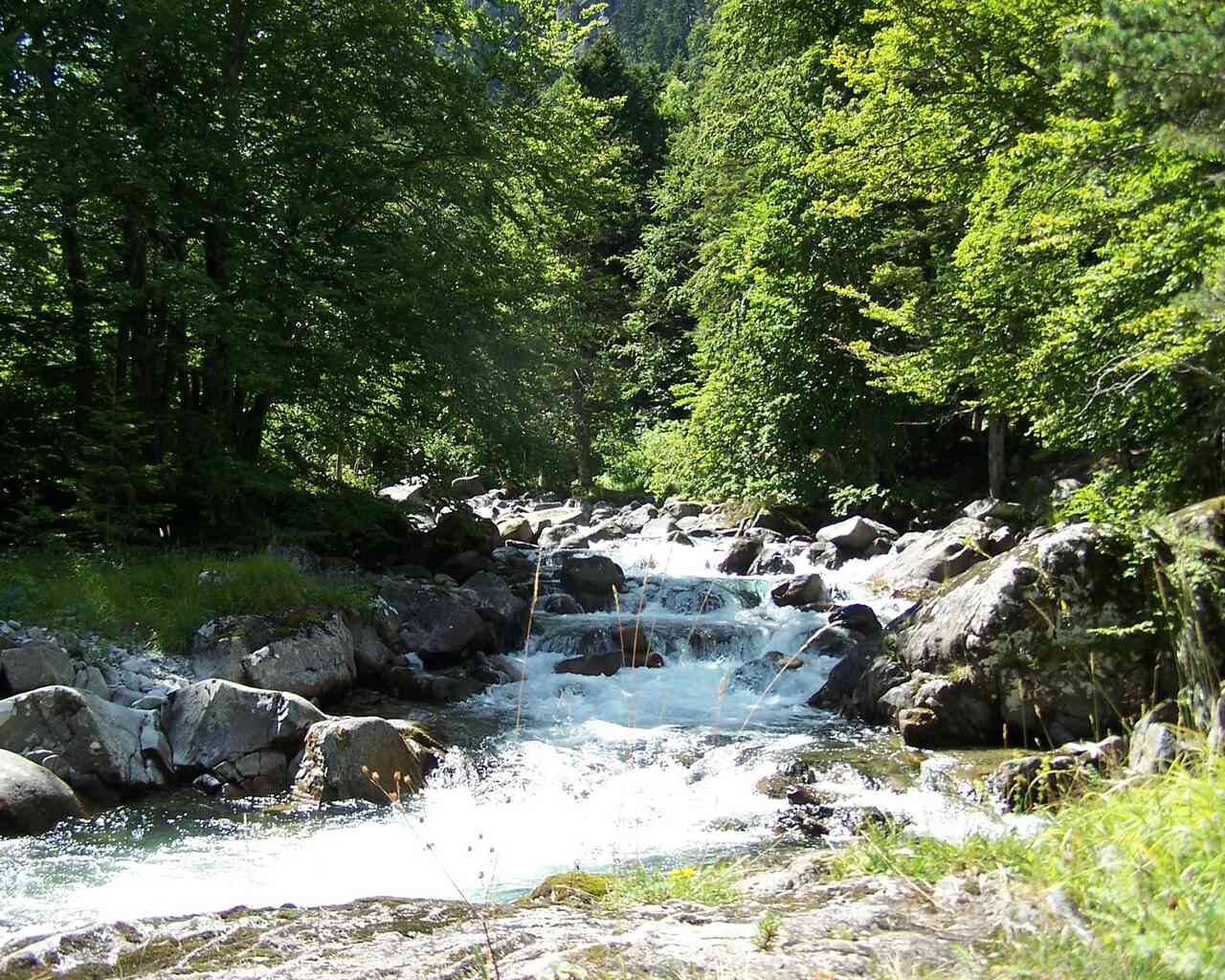 Wallpapers Nature Rivers - Torrents Torrent de montagne