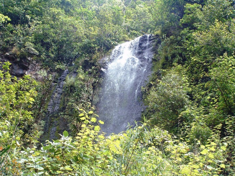 Fonds d'cran Voyages : Afrique La Runion Ile de la Reunion