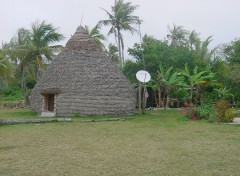 Wallpapers Trips : Oceania Case canaque  Lifou ... avec parabole en prime !