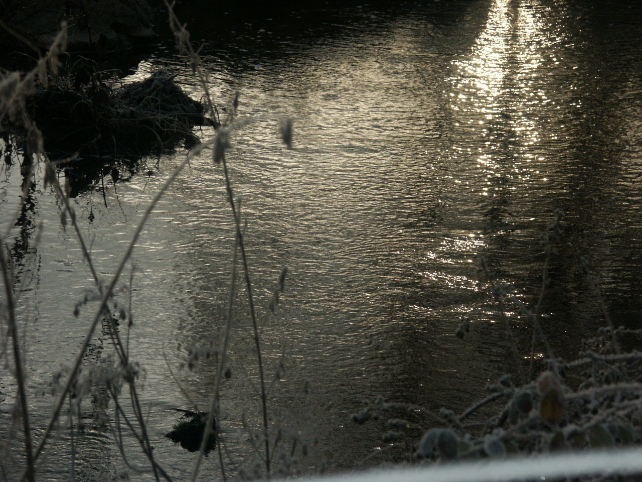 Wallpapers Nature Water - Reflection 