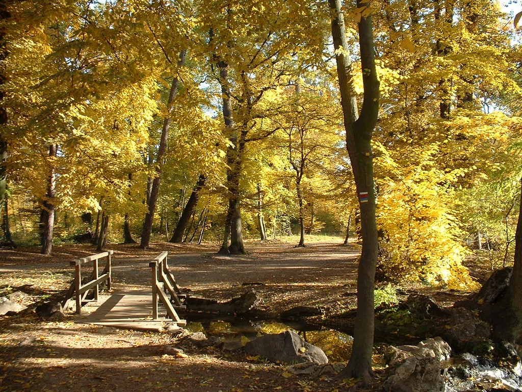 Wallpapers Nature Seasons - Fall L\'automne au bois de Vincennes (France)