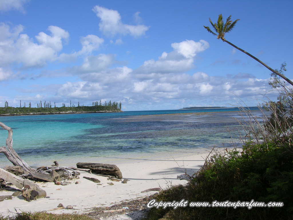 Wallpapers Nature Paradisiac Islands Baie de Kanumera - Ile des Pins - Nouvelle Caldonie