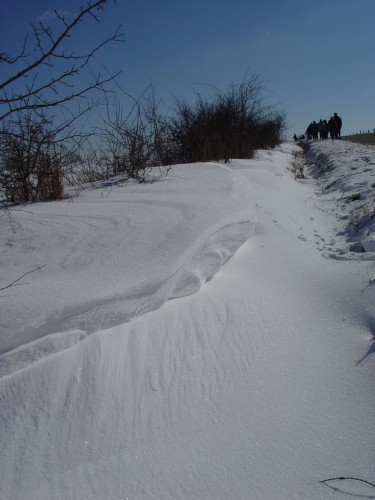 Wallpapers Nature Saisons - Winter Traons notre route dans la neige