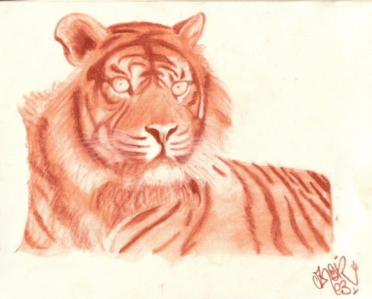 Wallpapers Art - Pencil Animals - Felines tigre