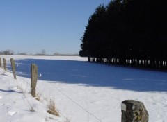 Fonds d'cran Nature Neige, soleil et la fort