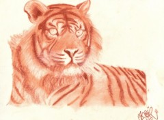 Wallpapers Art - Pencil tigre