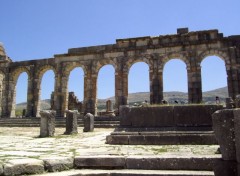 Fonds d'cran Voyages : Afrique Volubilis