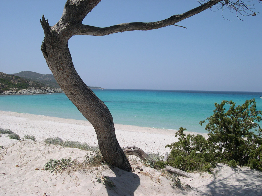 Fonds d'cran Voyages : Europe France > Corse Plage de Saleccia