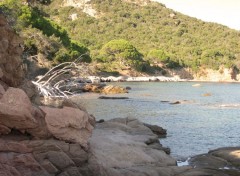 Fonds d'cran Voyages : Europe Plage de la Palombaggia