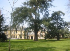 Fonds d'cran Nature Parc dans Rennes