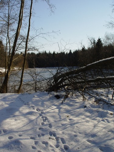 Fonds d'cran Nature Saisons - Hiver Laissons nos traces !