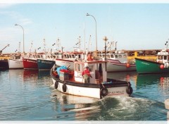 Fonds d'cran Bateaux ile de la madelaine