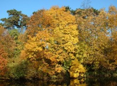 Wallpapers Nature L'automne au bois de Vincennes (France)