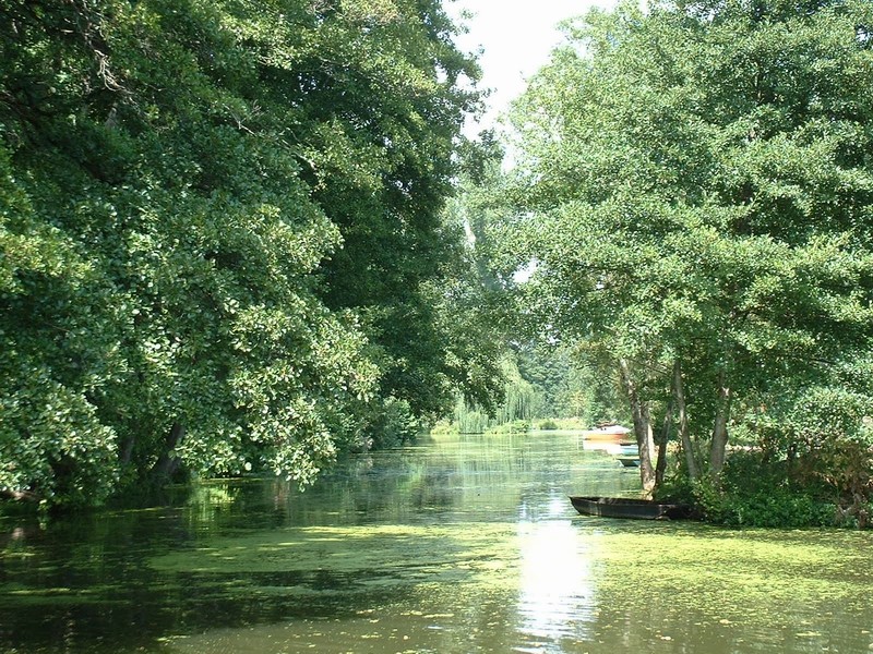 Fonds d'cran Nature Fleuves - Rivires - Torrents La Venise Verte (France)