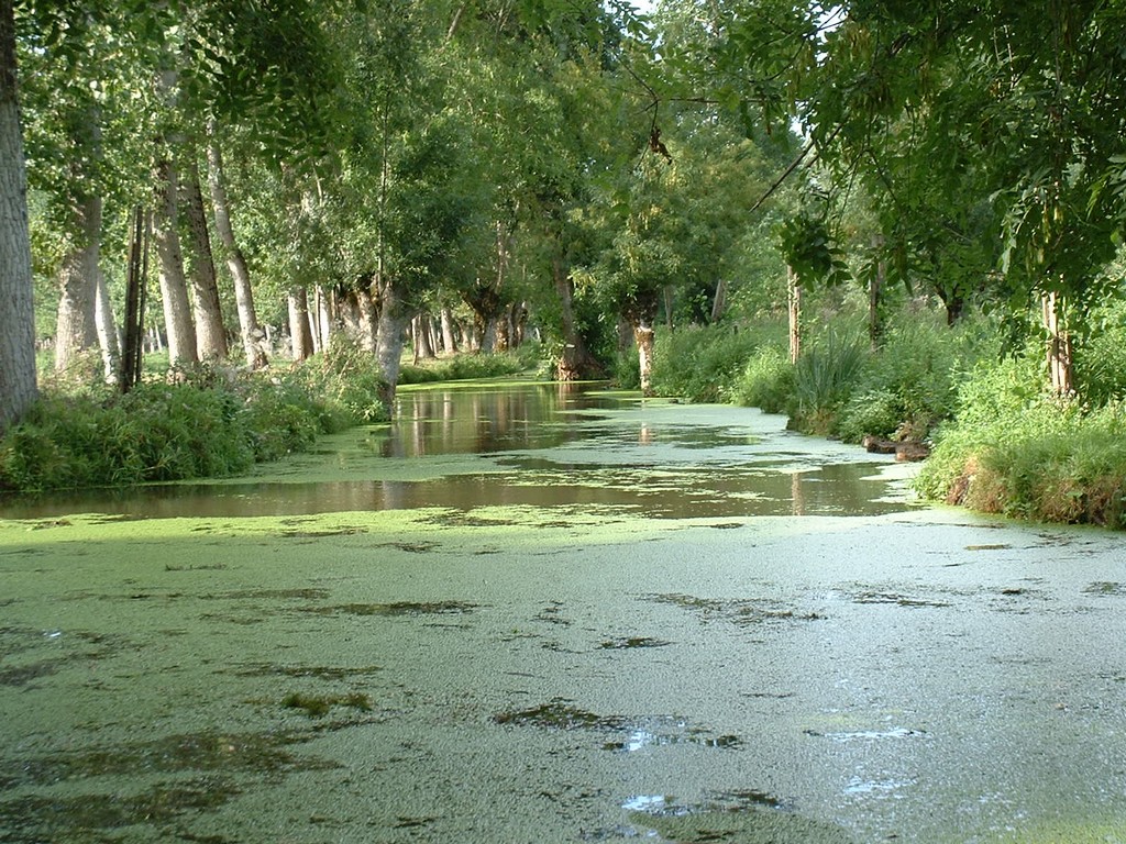 Wallpapers Nature Rivers - Torrents La Venise Verte