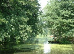 Fonds d'cran Nature La Venise Verte (France)