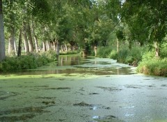 Fonds d'cran Nature La Venise Verte