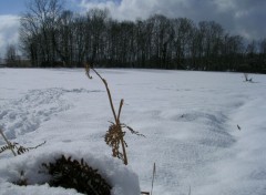 Fonds d'cran Nature neige