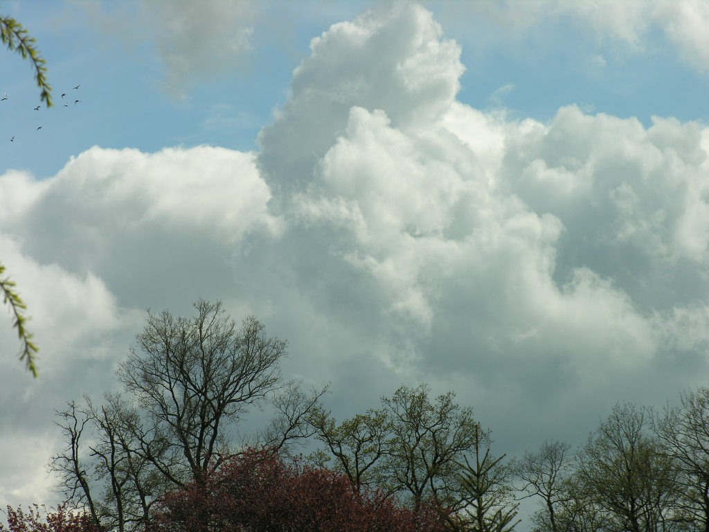 Fonds d'cran Nature Ciel - Nuages 