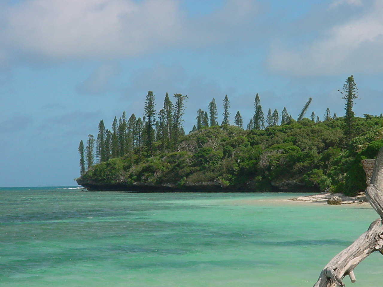 Wallpapers Trips : Oceania New Caledonia Sur l'le des Pins