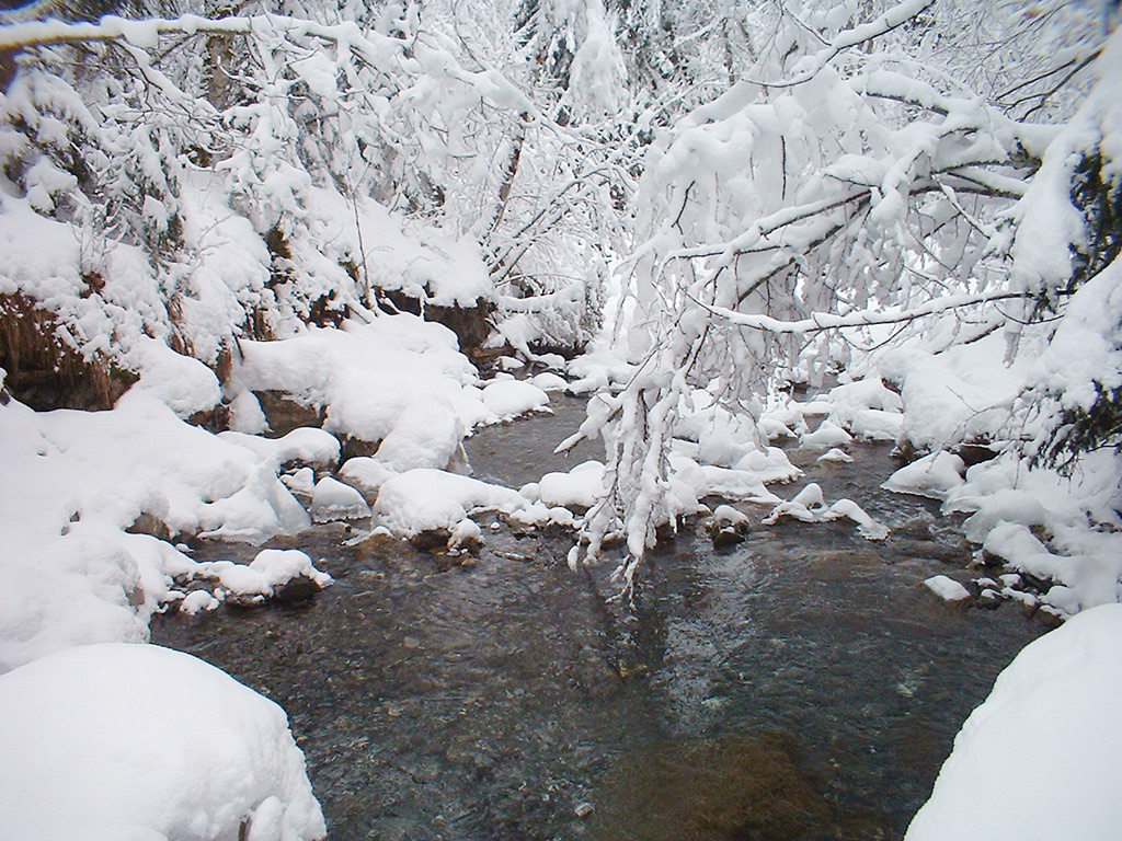 Fonds d'cran Nature Saisons - Hiver Paysage d'hiver