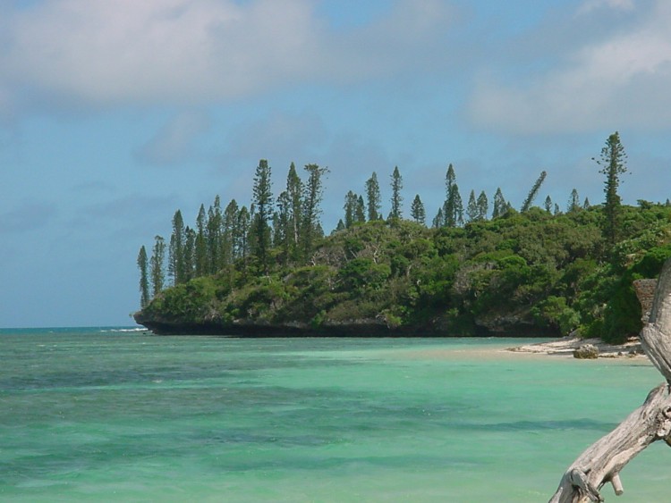 Fonds d'cran Voyages : Ocanie Nouvelle Caldonie Sur l'le des Pins