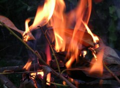 Fonds d'cran Nature feu de bois