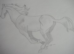 Wallpapers Art - Pencil Cheval