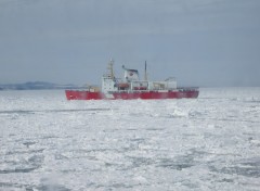 Fonds d'cran Bateaux Garde cote dans les glaces du St Laurent