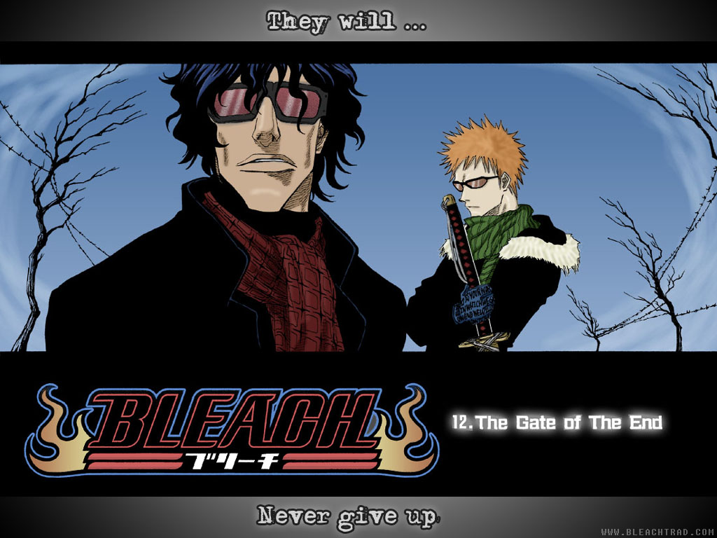 Fonds d'cran Manga Bleach The Gate of the End