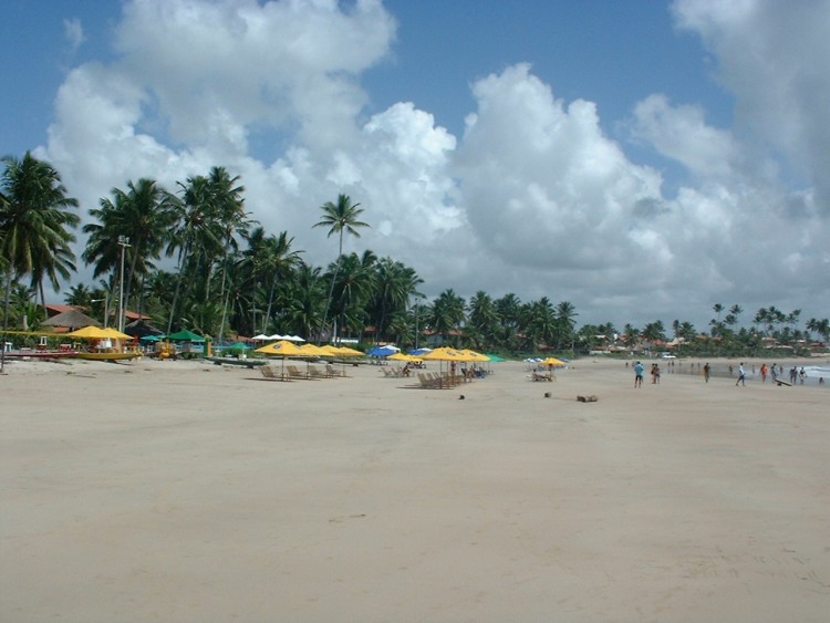 Fonds d'cran Voyages : Amrique du sud Brsil Porto de Galinhas