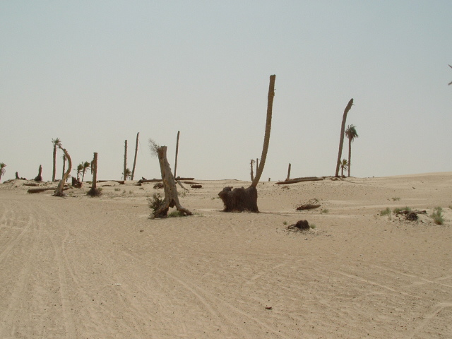 Fonds d'cran Nature Dserts Sahara