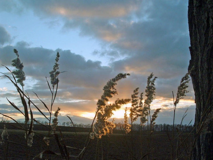 Fonds d'cran Nature Couchers et levers de Soleil Le sommeil approche...